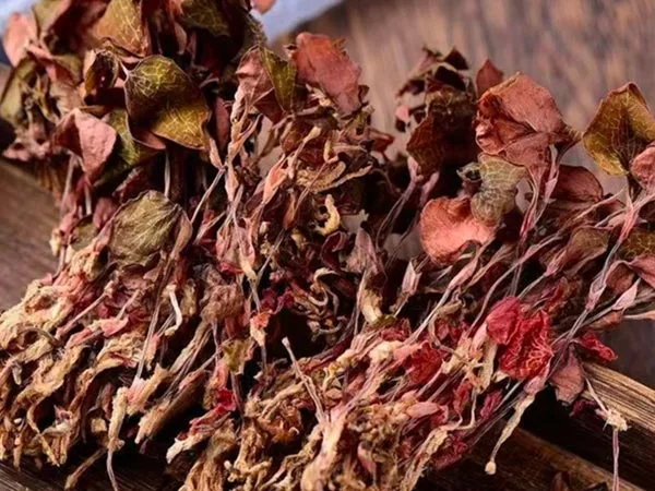 सुपर ग्रेड सूखे एनोएक्टोचिलस रॉक्सबर्गी विशेष बाजारों में पहुंचे